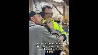 The jealous dog loses his mind#dog #funny #funnydog #doglife #funnys #funnypet #funnyvideo #fyp