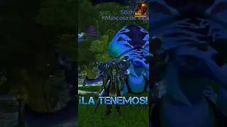 🪲HARAKISS EL INFECCIOSO (donde encontrarlo) #shorts #wowpets #cataclysm #tinchogamerplus #whitemane