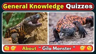 10 Mind Blowing Gila Monster Facts! 🦎 Can You Answer Them All | Animals Trivia Quiz Challenge