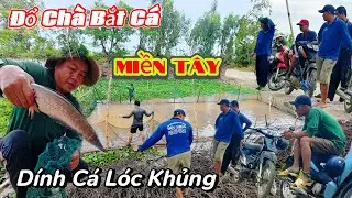 Hết Hồn Con Cá Lóc 2kg | Kéo Chà Lên Cá Chốt Nhiều Không Kể Hết.