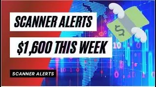 Setup Forex Scanner Trade Alerts - $1,600 this Week
