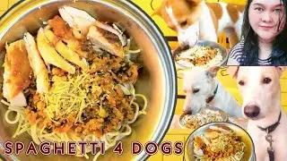 SPAGHETTI RECIPE FOR DOGS &bull; Healthy and Yummy! 🍝🍝🍝🍝