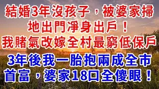 結婚3年沒孩子，被婆家掃地出門凈身出戶！我賭氣改嫁全村最窮低保戶，人人都看我笑話，3年後我一胎抱兩成全市首富，婆家18口全傻眼！