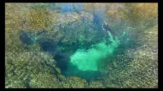 Camping 0n the Suwannee River 2024 - December