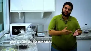 Confira o processo produtivo de mudas de árvores