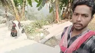 Short blog video trending all India Bangladesh Nepal Pakistan viral trending#short #video #trending 