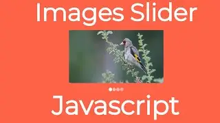 Simple Images Slider Using Javascript | HTML & CSS