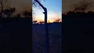 Sham k sunhare waqt Ka ek short video#vneditingtutorial