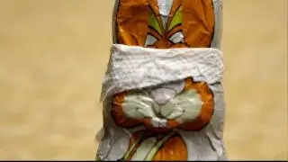 aarons reesterbunny