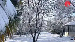 ЗИМНЯЯ СКАЗКА