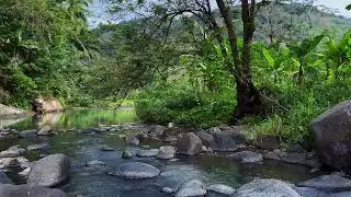Water River Landscape for Relax and Sleep Deeply | sleep - relax - enjoy life - ASMR