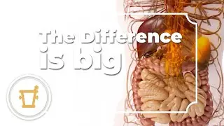 Q10 - Ubiquinol or Ubiquinone? | Pharma Nord