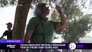 Texas drought leads to discovery of 113 million-year-old dinosaur tracks