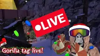 Infection fun!(Gorilla tag)