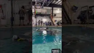 Survival Course for Offshore Renewable Energy!