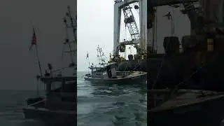 Workboat assisting a massive crane barge #marine