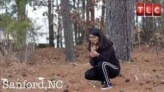 MY STRANGE ADDICTION: PINECONES