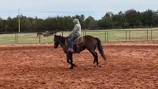 Nonstop Tiny Bubbles Loping Right