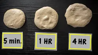 BEST Dough Temperature for home pizza ovens?