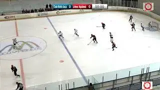 Resumen CHJ Vs La Nevera (MJD) - LNHH - Junior - J. 7 - 27/10/2018