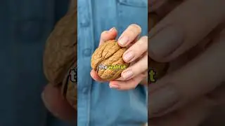 How to Remove Scratches from Wooden Furniture with a Walnut! 🥜✨