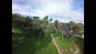 Inside the deep dark forest (3) \\ FPV freestyle