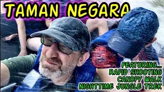 🇲🇾 To Taman Negara from Kuala Lumpur | Rapid Shooting | Canopy Walk | Night Jungle Trek | Orang Asli