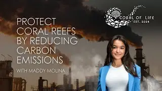Protect Coral Reefs By Reducing Carbon Emissions | With Maddy Molina