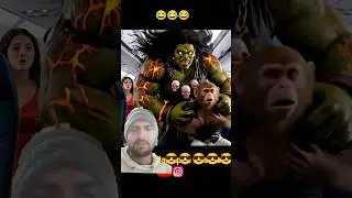 Bandar bhai aur Kokila bahan ka lafada ho gaya flight mein monkey funny video #shorts #aivlog#funny
