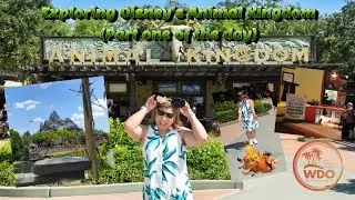 Disney's Animal Kingdom Day: From Safari to Pandora's Floating Mountains