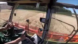 Claas Lexion 750TT. Ziemas Mieži. (Winter Barley). [GoPro] [Cab View]