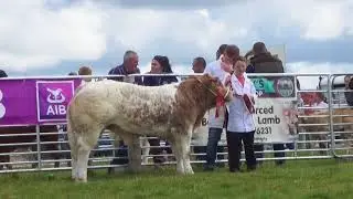 Clonmany Show 2017