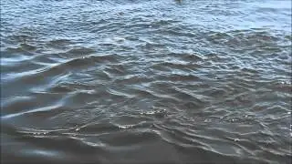 Lake Anna hydraulic vortex 2014