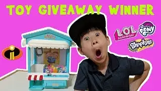 Selecting the Toy Giveaway Winner- Shopkins, Legos, LOL Surprise Series 4, Cars, Cutie Cars