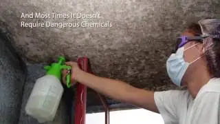 Mold Remediation Cost Orlando (407) 900-0459