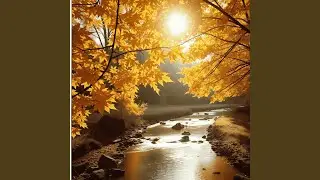 Amber Glow through Maple Trees