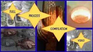 How to Metal Cast Full Process Compilation Video - ASMR - Trash to Treasure