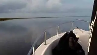 Econfina River going out