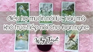 [#12] ĐIỀU HỌ MUỐN NÓI LÚC NÀY MÀ KHÓ TRỰC TIẾP NÓI CHO BẠN NGHE!
