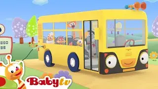 De Wielen van de Bus 🚌 | Liedjes & Rijmpjes @BabyTVNL