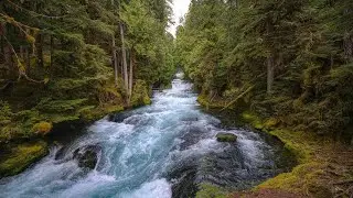 SOUND OF THE WATERFALL LİSTEN,RELAXİNG AND SLEEP MEDİTATİON. NATURE BIRD SOUND. WATERFALLSS