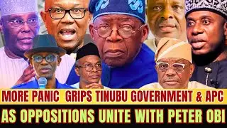 2027 Election: Nigerians Speak on Peter Obi&rsquo;s Chances in ADC Presidential Race