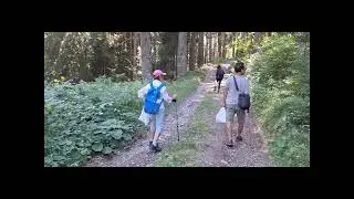 Balade &agrave;  la montagne  