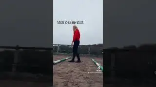 How to set up polework for horses