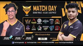 [HINDI] Free Fire Pro League 2021 Summer | Grand Finals