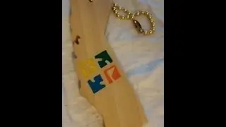 Podcacher Key Chain