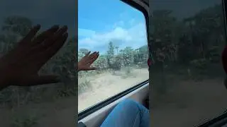 🚊#YouTubeShorts#ScenicTrainRide#WindowSeatView#YTShorts#WatchTillEnd#FYP#Shorts#IndianRailways
