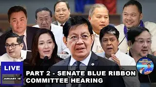 PART 2 - SENATE BLUE RIBBON COMMITTEE HEARING January 19, 2026