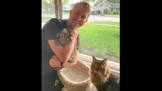 How to Become a Pet Sitter on Rover and My Experience