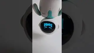 How to Make Eilik Cry😢 #cute#funny#eilikrobot #robot#pet #shorts